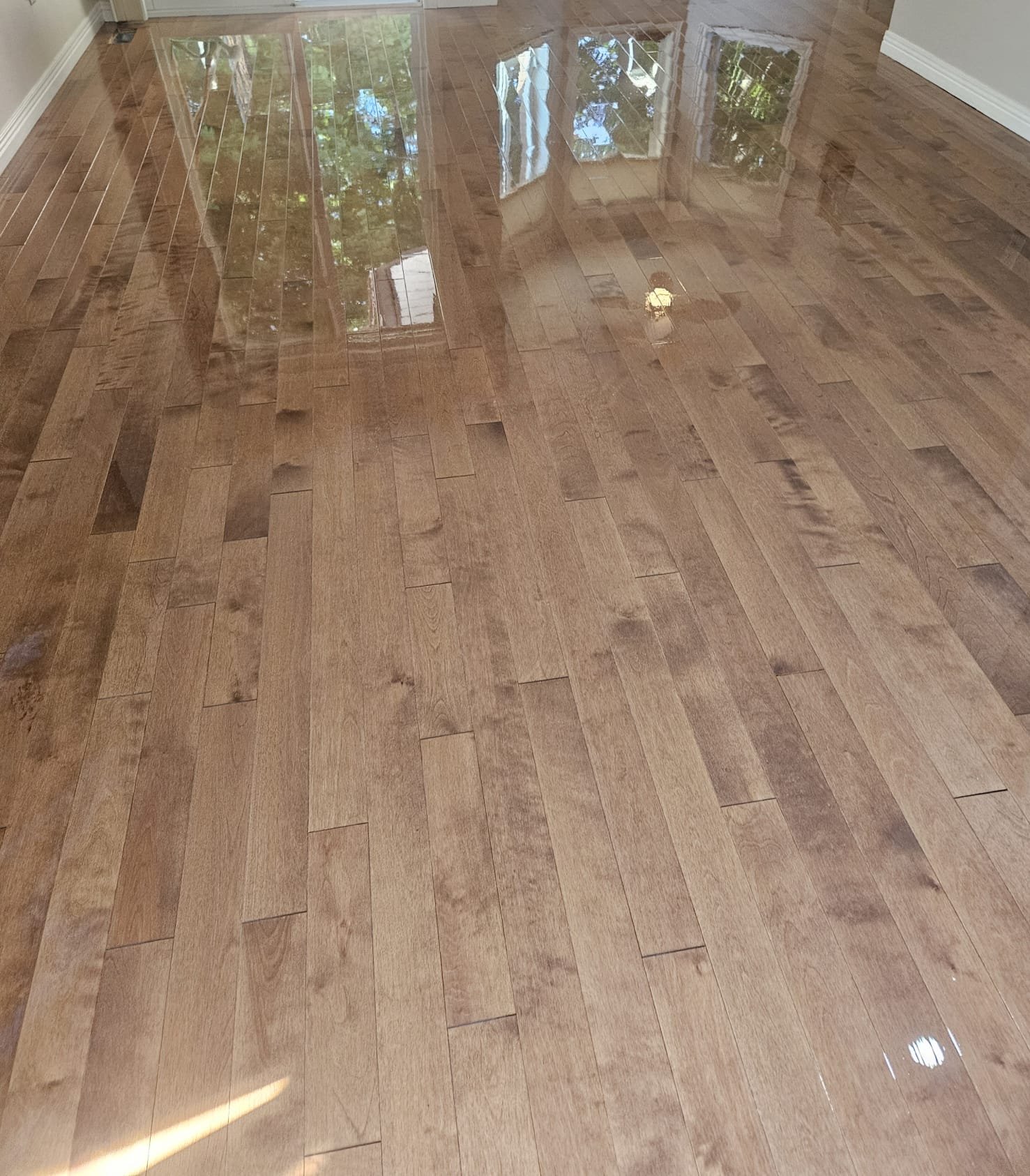 Hardwood Flooring- Dirt2shine